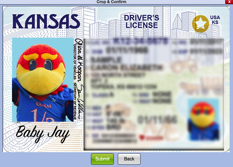 A fake image of a Kansas Driver's License featuring the Baby Jay Mascot. The right side of the image is blurry.
